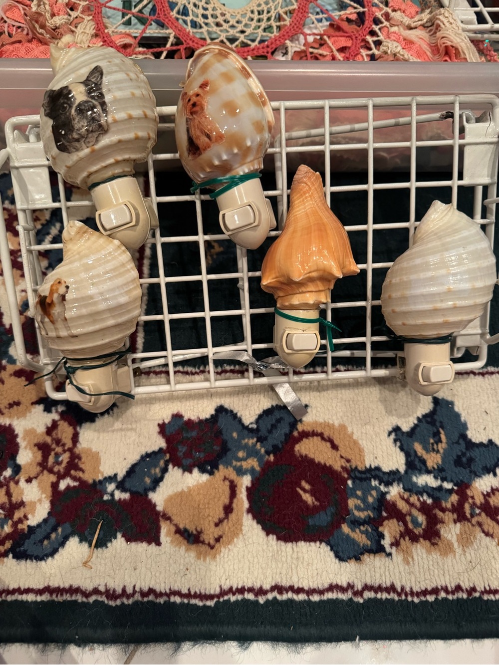 Handcrafted Seashell Night Lights - Cream and Tan 15$ each